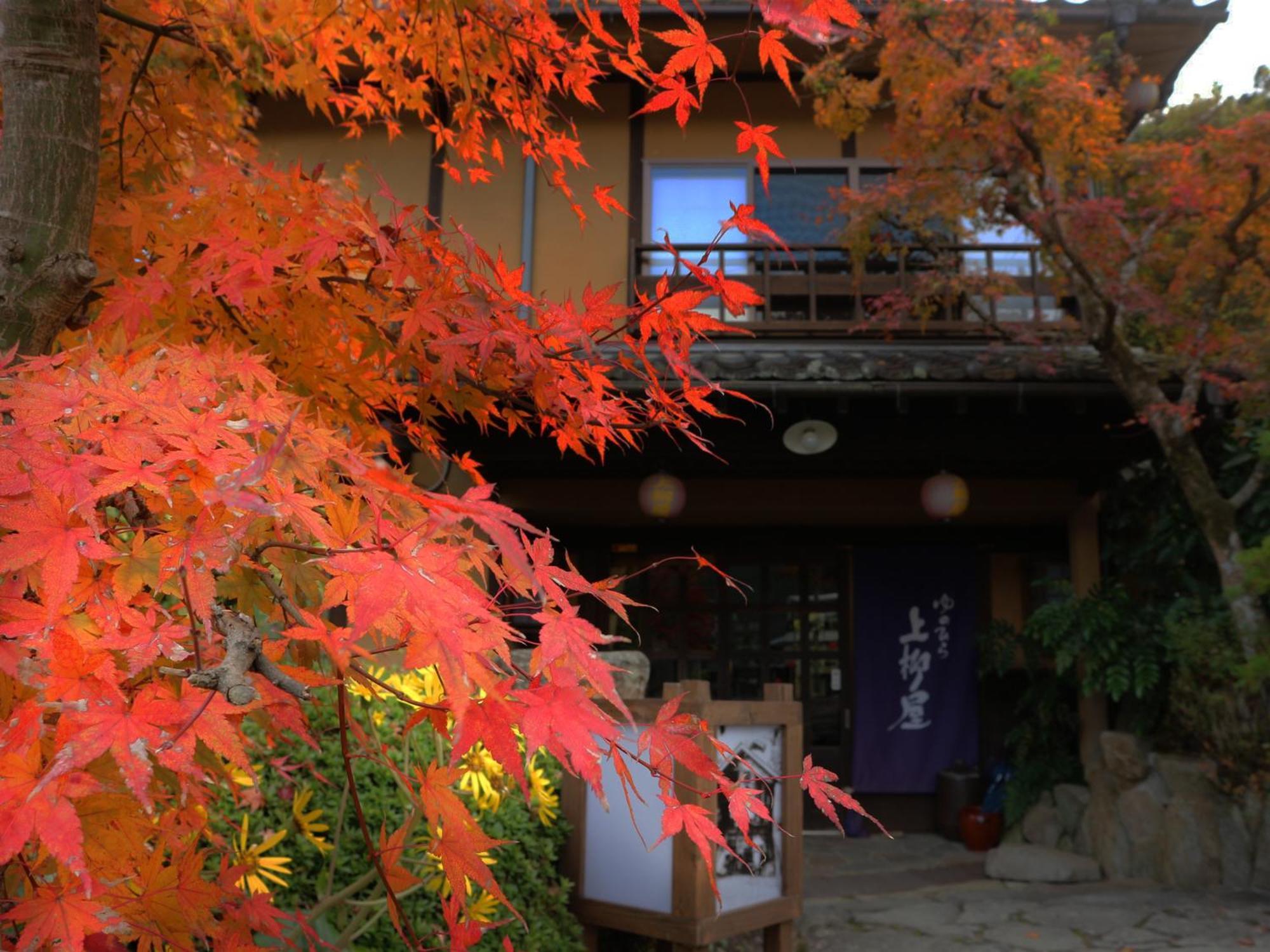 Yunohira Kamiyanagiya Hotel Yufuin Luaran gambar